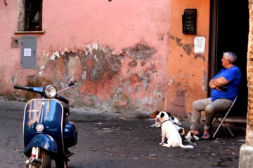 photographies d'Italie Un homme avec ses chiens assis sur une chaise dans la rueTrastevere Rome